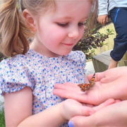 letting the butterflies go